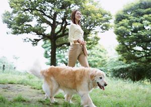 緊急時に頼りにできる動物病院があります